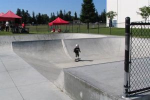 Your Guide to Skate Park Santa Clara Adventures | How to Skateboard: A Beginner's Guide to Your First Board & Tricks