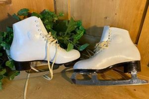 Best John Wilson Ice Skates: Blades for Champions! | How to Skateboard: A Beginner's Guide to Your First Board & Tricks