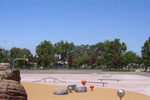 Best Skate Parks in Hayward CA: Your Guide! | How to Skateboard: A Beginner's Guide to Your First Board & Tricks