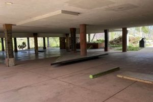 Boulder's Best Skate Shop: Gear & More | How to Skateboard: A Beginner's Guide to Your First Board & Tricks