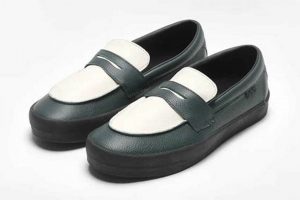 Best Skate Loafers for Skaters: Style & Performance | How to Skateboard: A Beginner's Guide to Your First Board & Tricks