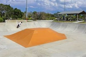Visit Pat Mark Rio-Jensen Skate Park | [City/Area] Fun! | How to Skateboard: A Beginner's Guide to Your First Board & Tricks