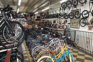 Your Local ADT Bike & Skate Shop Arc de Triomphe Inc - Shop Here! | How to Skateboard: A Beginner's Guide to Your First Board & Tricks