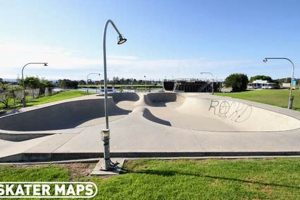 Skate West Palm Beach: Your Ultimate Park Guide How to Skateboard: A Beginner's Guide to Your First Board & Tricks Skate West Palm Beach: Your Ultimate Park Guide | How to Skateboard: A Beginner's Guide to Your First Board & Tricks