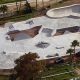 Best Skate Parks Daytona Beach Area: Ride On! | How to Skateboard: A Beginner's Guide to Your First Board & Tricks