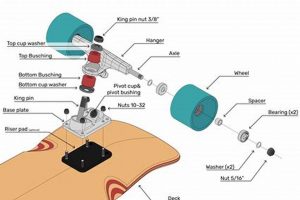 Essential Parts of a Skate: Guide for Skaters! | How to Skateboard: A Beginner's Guide to Your First Board & Tricks