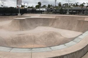 Vista Skate Park: The Ultimate Guide & Reviews | How to Skateboard: A Beginner's Guide to Your First Board & Tricks