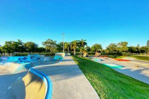 Best Sarasota Skate Parks: Your Guide to Ramps & Bowls How to Skateboard: A Beginner's Guide to Your First Board & Tricks Best Sarasota Skate Parks: Your Guide to Ramps & Bowls | How to Skateboard: A Beginner's Guide to Your First Board & Tricks