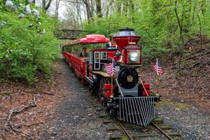 Cabin John Public Skate: Fun on Ice Near You! How to Skateboard: A Beginner's Guide to Your First Board & Tricks Cabin John Public Skate: Fun on Ice Near You! | How to Skateboard: A Beginner's Guide to Your First Board & Tricks
