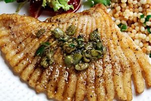 Best Skate Fish Food: Complete Guide & Top Picks! | How to Skateboard: A Beginner's Guide to Your First Board & Tricks