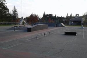 Skate Park Press: News, Events & Local Parks Near You How to Skateboard: A Beginner's Guide to Your First Board & Tricks Skate Park Press: News, Events & Local Parks Near You | How to Skateboard: A Beginner's Guide to Your First Board & Tricks