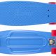 Ride On! Best Penny Board Skateboard for Skaters | How to Skateboard: A Beginner's Guide to Your First Board & Tricks