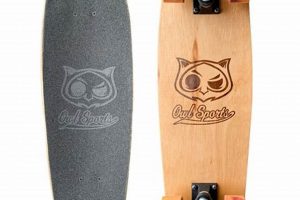 Best Skate Cruiser Boards: Ride Smooth, Coast Easy | How to Skateboard: A Beginner's Guide to Your First Board & Tricks