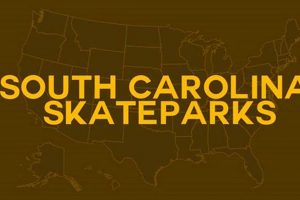 Your Guide to Skate Parks in Myrtle Beach, SC | [Year] | How to Skateboard: A Beginner's Guide to Your First Board & Tricks