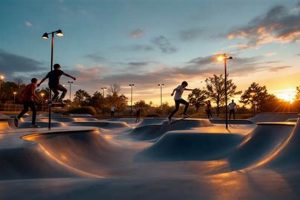 Essential Skate Park Fixtures: Ramps, Rails & More! How to Skateboard: A Beginner's Guide to Your First Board & Tricks Essential Skate Park Fixtures: Ramps, Rails & More! | How to Skateboard: A Beginner's Guide to Your First Board & Tricks