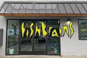 Your Guide: Best Skate Shop Asheville, NC (Local!) | How to Skateboard: A Beginner's Guide to Your First Board & Tricks