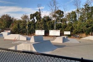 Find Your Hot Spot Skate Park: Reviews & More! | How to Skateboard: A Beginner's Guide to Your First Board & Tricks