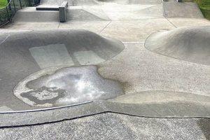 Your Guide to Skate Park Nashville Spots + More | How to Skateboard: A Beginner's Guide to Your First Board & Tricks