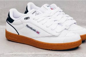 Best Reebok Skate Shoes: Performance & Style | How to Skateboard: A Beginner's Guide to Your First Board & Tricks