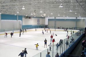 Mennen Arena Open Skate: Your Guide to Fun on the Ice! How to Skateboard: A Beginner's Guide to Your First Board & Tricks Mennen Arena Open Skate: Your Guide to Fun on the Ice! | How to Skateboard: A Beginner's Guide to Your First Board & Tricks