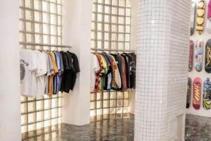 Discover: Plush Skate Shop - Your Premium Board Source | How to Skateboard: A Beginner's Guide to Your First Board & Tricks