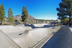 Best Skate Parks in Flagstaff: A Local's Guide | How to Skateboard: A Beginner's Guide to Your First Board & Tricks