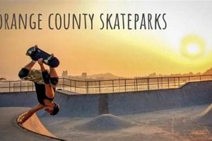 Your Guide: Best Skate Shops Near Me in Orange County, CA How to Skateboard: A Beginner's Guide to Your First Board & Tricks Your Guide: Best Skate Shops Near Me in Orange County, CA | How to Skateboard: A Beginner's Guide to Your First Board & Tricks