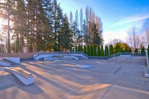 Explore Marysville Skate Park: Your Ultimate Guide + Tips | How to Skateboard: A Beginner's Guide to Your First Board & Tricks