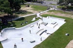 Ocala Skate Parks: Find the Best Spots + Tips! | How to Skateboard: A Beginner's Guide to Your First Board & Tricks