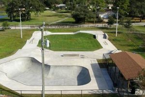 Visit Lake Mary Skate Park: The Ultimate Skate Spot! How to Skateboard: A Beginner's Guide to Your First Board & Tricks Visit Lake Mary Skate Park: The Ultimate Skate Spot! | How to Skateboard: A Beginner's Guide to Your First Board & Tricks