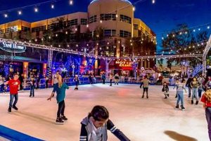 Best Skate Westgate Spots: Your Local Guide! | How to Skateboard: A Beginner's Guide to Your First Board & Tricks