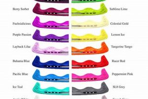 Protect Your Blades: Rockerz Skate Guards for Skaters! How to Skateboard: A Beginner's Guide to Your First Board & Tricks Protect Your Blades: Rockerz Skate Guards for Skaters! | How to Skateboard: A Beginner's Guide to Your First Board & Tricks