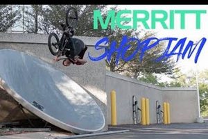 Unleash Your Ride: Extremz Bike Skate Scoot Adventures! | How to Skateboard: A Beginner's Guide to Your First Board & Tricks