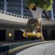Pro Skater's Guide: How to Flip Skate 3 Like a Pro | How to Skateboard: A Beginner's Guide to Your First Board & Tricks