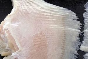 Guide to Frozen Skate Wings: Prep & More! How to Skateboard: A Beginner's Guide to Your First Board & Tricks Guide to Frozen Skate Wings: Prep & More! | How to Skateboard: A Beginner's Guide to Your First Board & Tricks