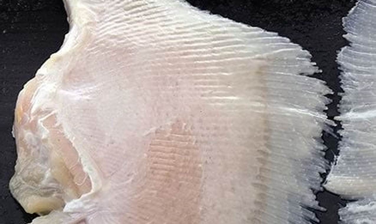 Guide to Frozen Skate Wings: Prep &amp; More! | How to Skateboard: A Beginner's Guide to Your First Board & Tricks