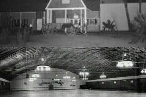 Unleash Your Ride: Skate Ranch Adventures & More | How to Skateboard: A Beginner's Guide to Your First Board & Tricks