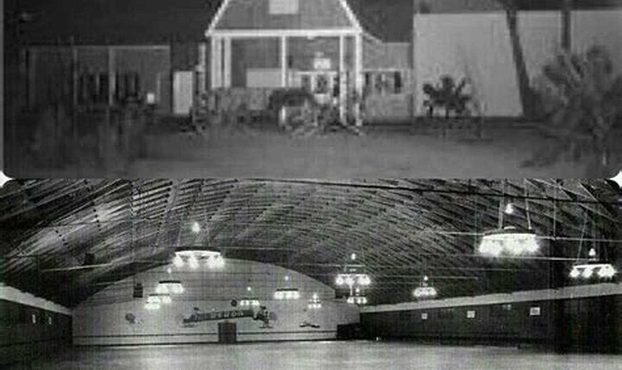 Unleash Your Ride: Skate Ranch Adventures & More | How to Skateboard: A Beginner's Guide to Your First Board & Tricks