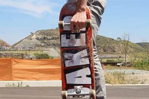 Skater's Guide: Avoid The Skate Mall Grab + Tips | How to Skateboard: A Beginner's Guide to Your First Board & Tricks