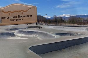 Revitalize: Skate Park Reno Projects for a Safer Ride | How to Skateboard: A Beginner's Guide to Your First Board & Tricks
