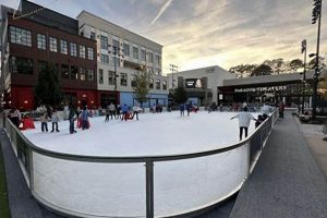 Ice Skate the Square at Fenton: Winter Fun! | How to Skateboard: A Beginner's Guide to Your First Board & Tricks