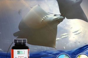 Skater's Secret: Skate Fish Liver Oil Benefits! | How to Skateboard: A Beginner's Guide to Your First Board & Tricks