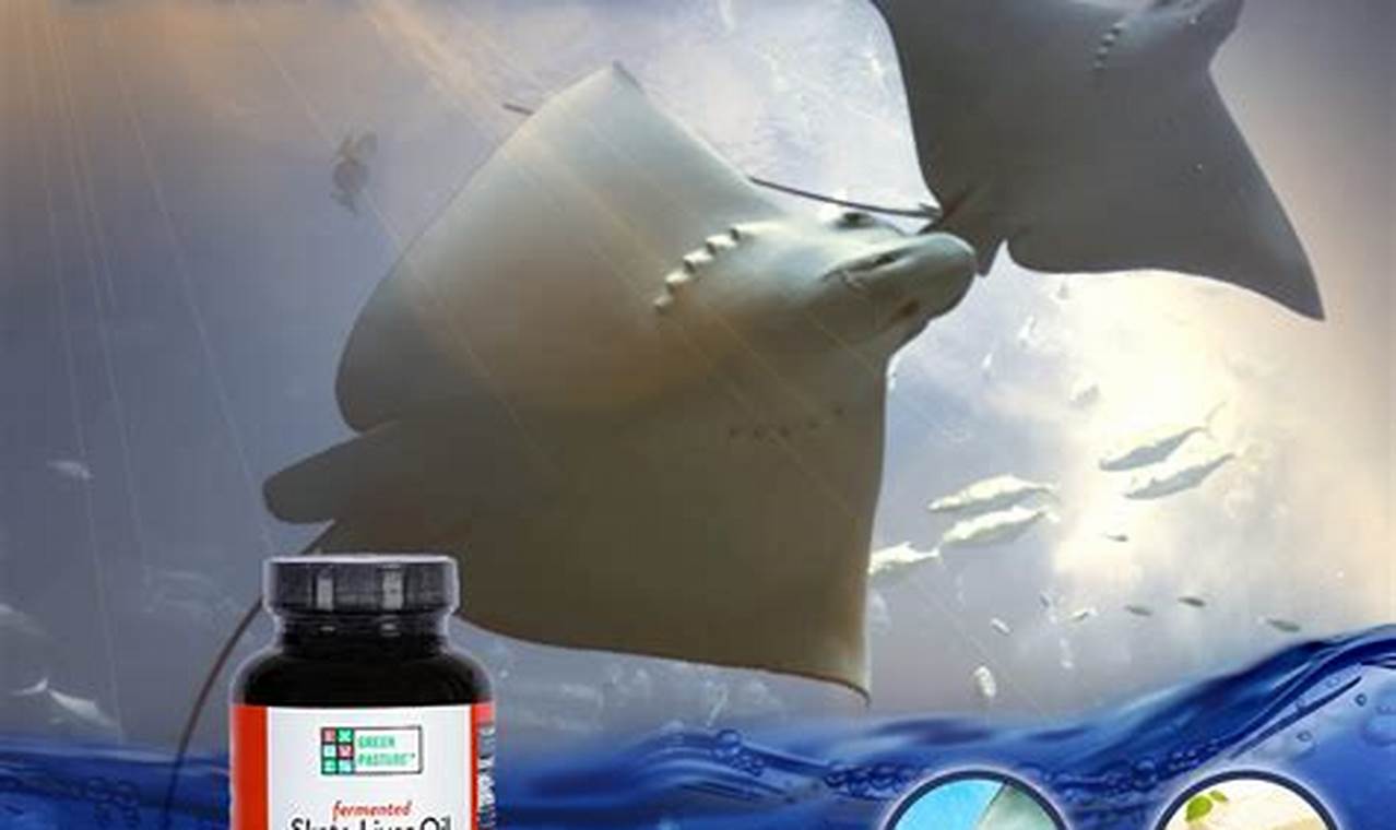 Skater's Secret: Skate Fish Liver Oil Benefits! | How to Skateboard: A Beginner's Guide to Your First Board & Tricks