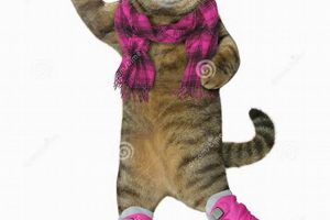 Find Your Cat Skates: Paw Protection & Fun! | How to Skateboard: A Beginner's Guide to Your First Board & Tricks