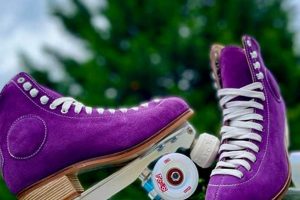 WIFA Skates: Pro Skater's Choice Boots & Gear! | How to Skateboard: A Beginner's Guide to Your First Board & Tricks