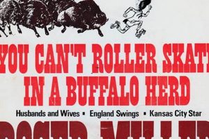 Why You Can't Roller Skate In A Buffalo Herd: Lessons & Tips | How to Skateboard: A Beginner's Guide to Your First Board & Tricks