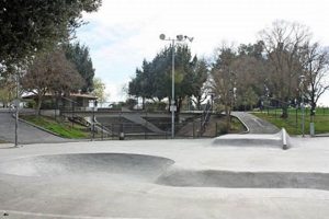 Visit Davis Skate Park: Skills, Thrills & Fun! | How to Skateboard: A Beginner's Guide to Your First Board & Tricks