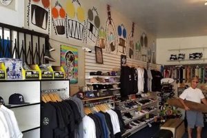 Best Local Skate Shops in Long Island Near You | How to Skateboard: A Beginner's Guide to Your First Board & Tricks