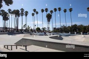 Santa Barbara Skate Park: Your Ultimate Guide | How to Skateboard: A Beginner's Guide to Your First Board & Tricks
