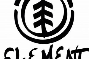 Shop Element Skate Company: Decks & Gear for Skaters | How to Skateboard: A Beginner's Guide to Your First Board & Tricks